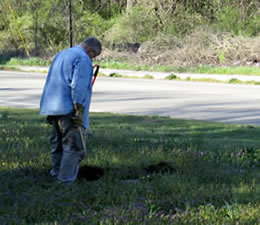 Uncovering a buried gravestone